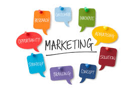 Marketing & Branding